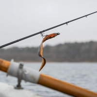 Fox Rage Slick Eel Loaded 21cm